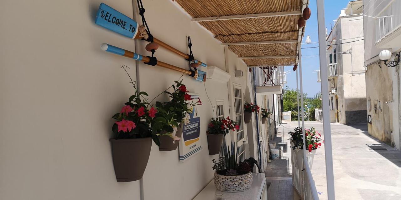 Passione Vacanze Vieste Eksteriør bilde